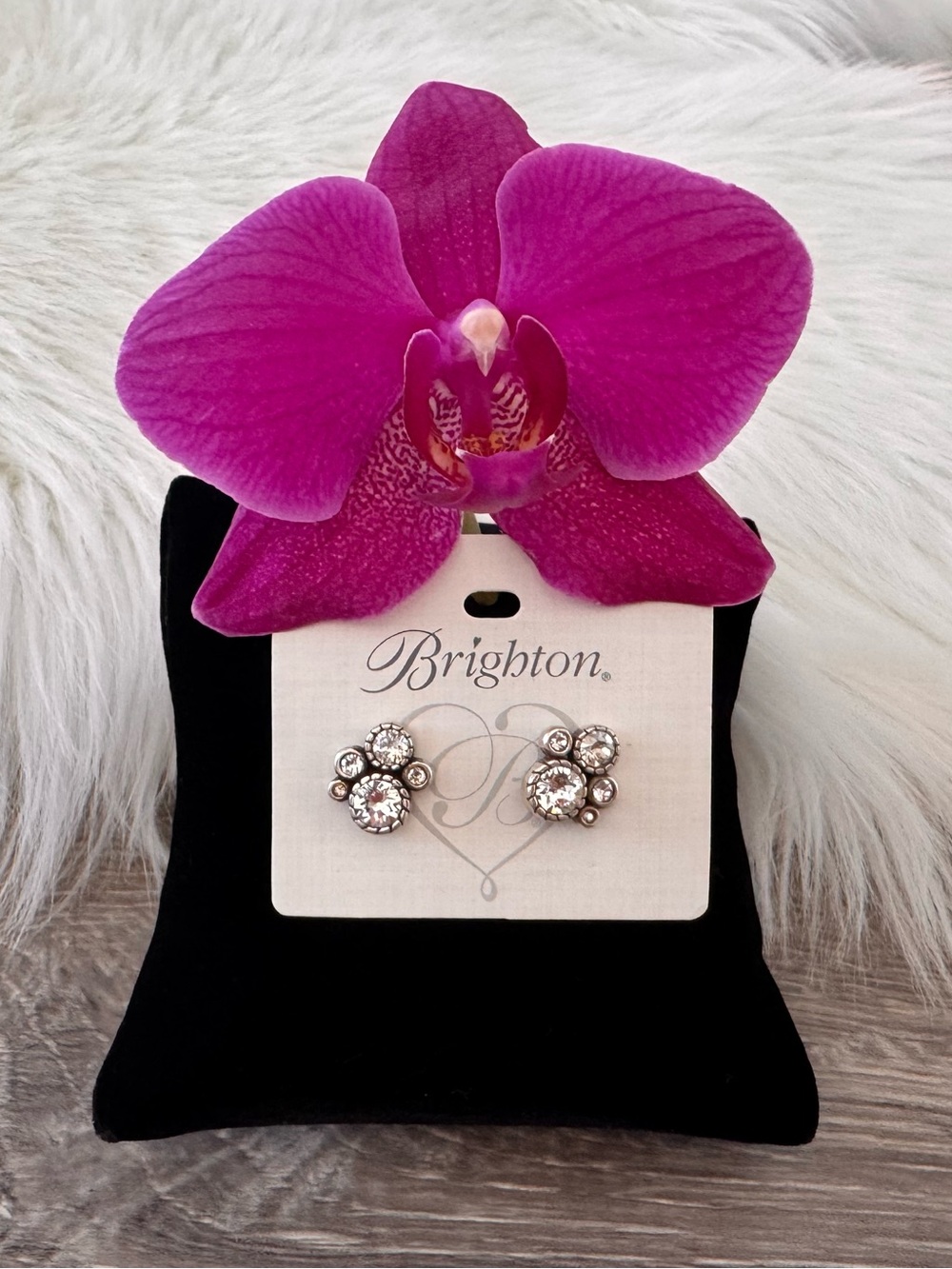 ✨ BRIGHTON Halo Post Earrings